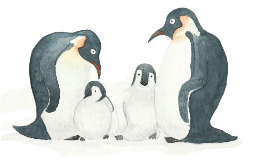 qq身份有什么功能