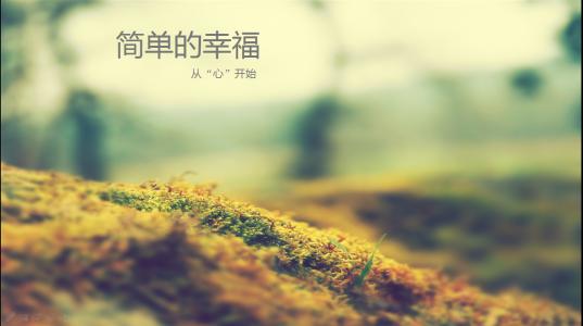 抖音平平淡淡简单的幸福不会再有孤独