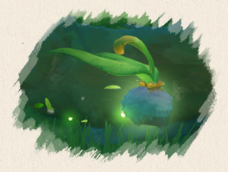 原神草系种子的有哪些状态