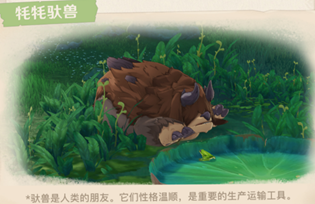 原神须弥全新生物和敌人有哪些