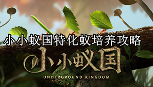 小小蚁国特化蚁培养攻略