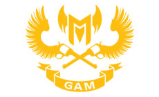 LOL2022全球总决赛VCS越南赛区GAM Esports战队介绍