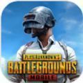 Pubg Mobile手游