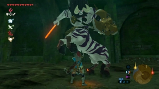 塞尔达王国之泪人马位置地图攻略