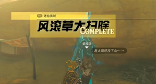 塞尔达王国之泪风滚草大扫除任务攻略