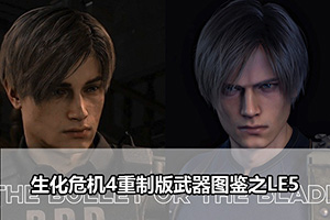 生化危机4重制版武器图鉴之LE5