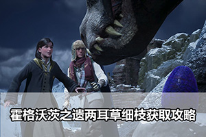 霍格沃茨之遗两耳草细枝获取攻略
