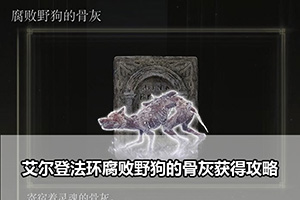 艾尔登法环腐败野狗的骨灰获得攻略