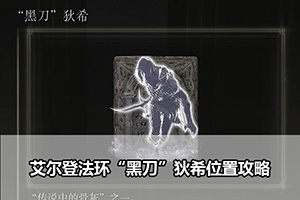 艾尔登法环“黑刀”狄希位置攻略