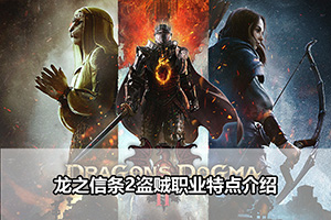 龙之信条2盗贼职业特点介绍