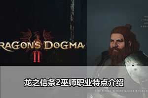 龙之信条2巫师职业特点介绍