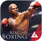 真实拳击