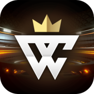 音速冲击世界冠军