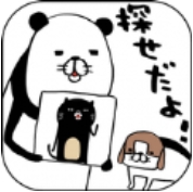 寻找熊猫和狗