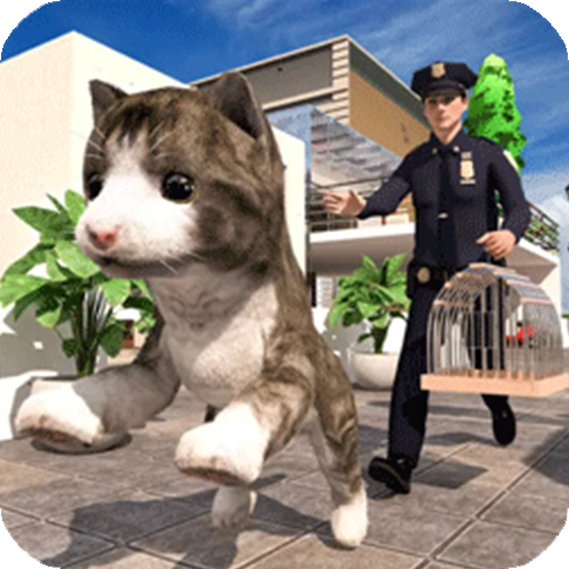 极速流浪猫最新版